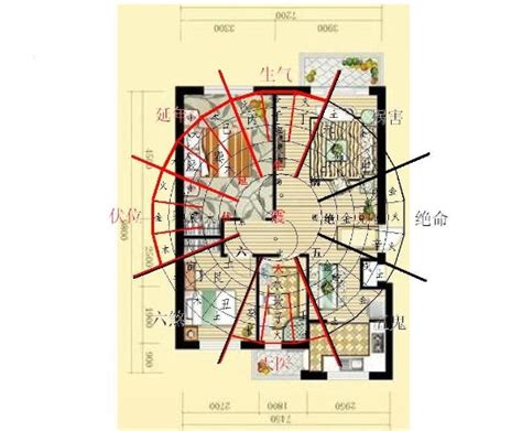 东四命住宅|风水学入门：阳宅风水学——住宅布局